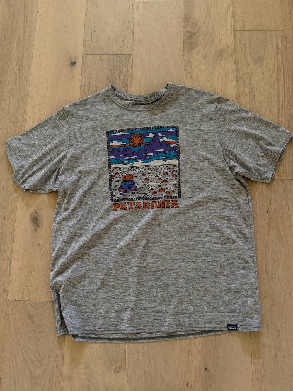 Patagonia Heather Gray Tee with Multicolor Outdoor Graphic